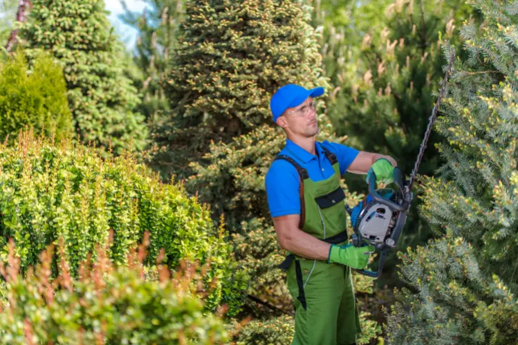 BIEN DANS SA MAISON Jardinage menage a domicile bien dans sa maison-1