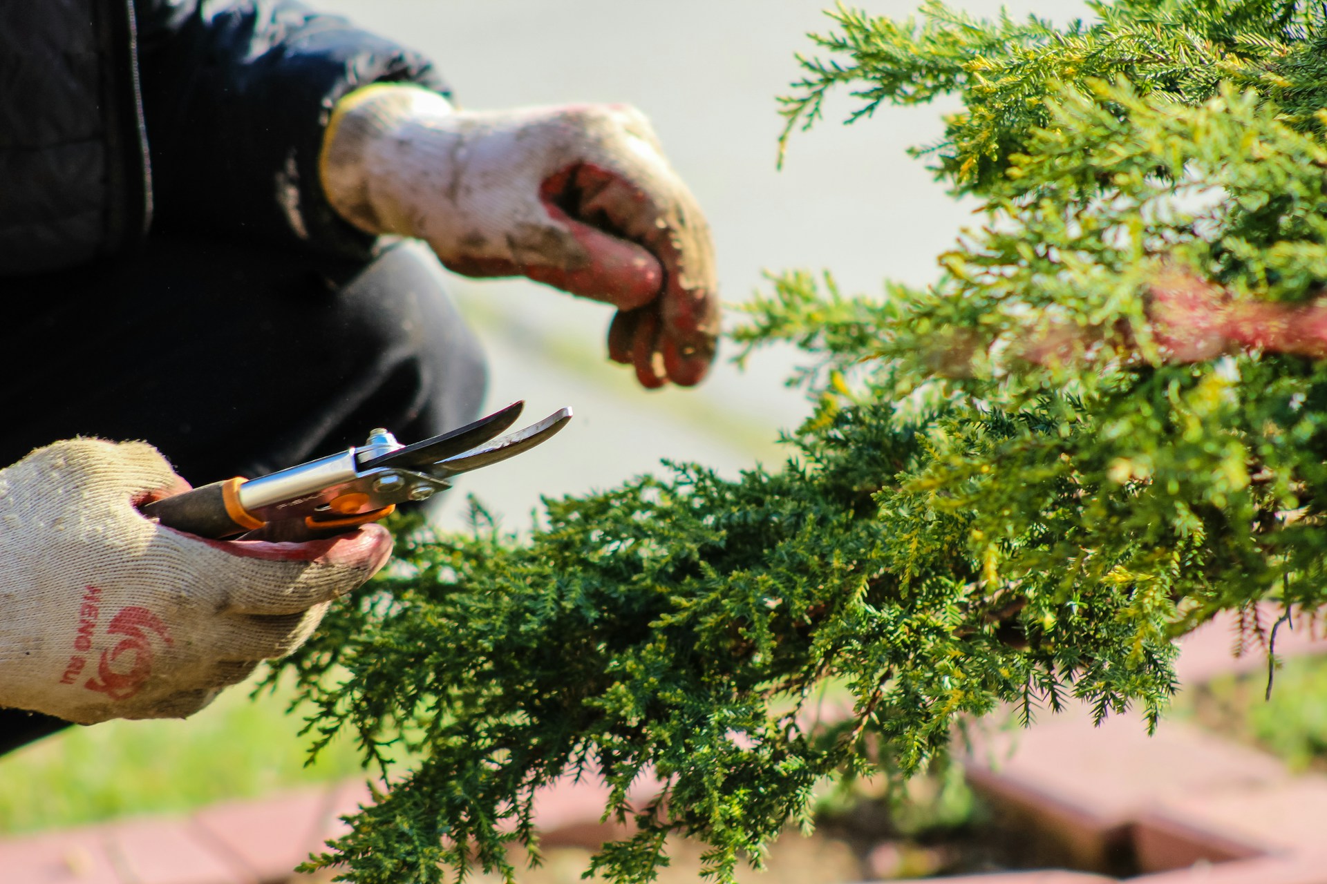 Comment bénéficier du crédit d’impôt pour le jardinage à domicile ?